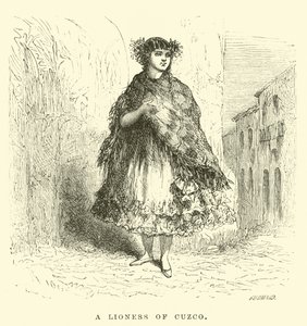 Una leonessa di Cuzco